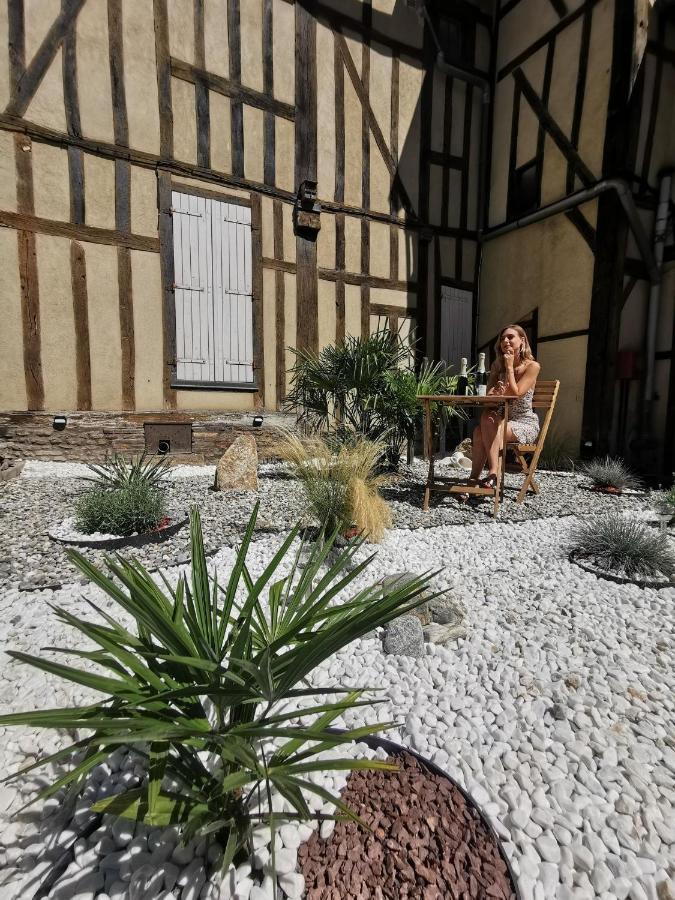 Апартаменти Le Papillon De La Cathedrale - Calme - Jardin - Wifi Труа Екстер'єр фото